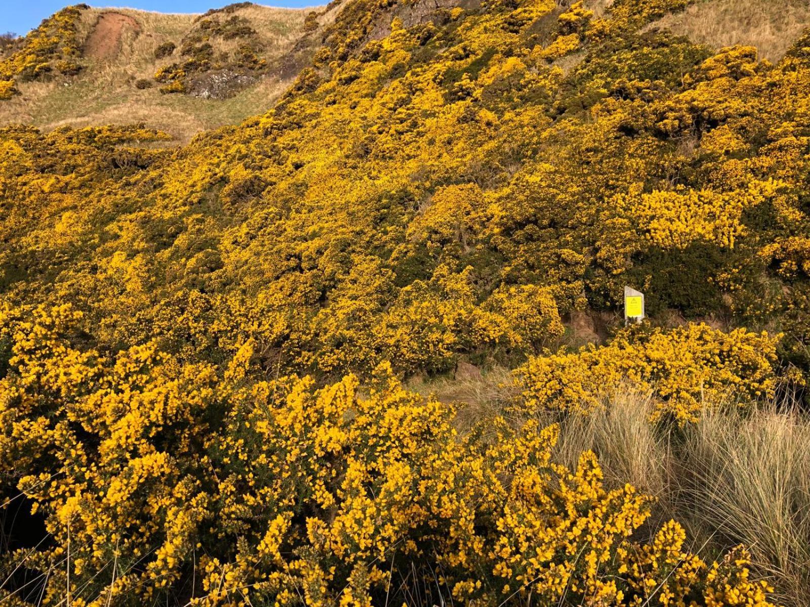 Villa Woodston Fishing Station Saint Cyrus Esterno foto